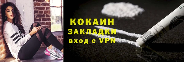 амф Арсеньев