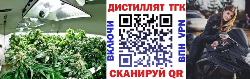 ТГК гашишное масло  Елизаветинская 
