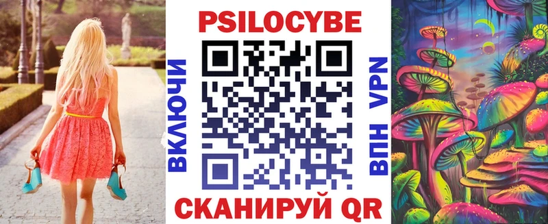 кракен Елизаветинская Галлюциногенные грибы Cubensis