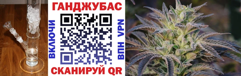 Бошки Шишки семена  закладка  Елизаветинская 